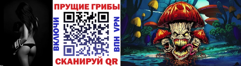 Псилоцибиновые грибы ЛСД Новомичуринск
